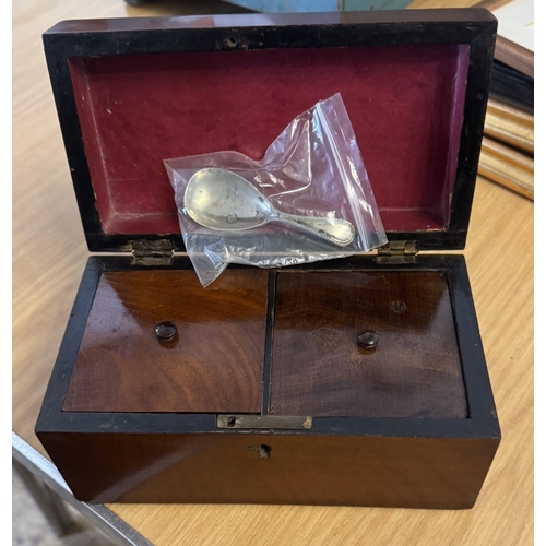 Lot 20        