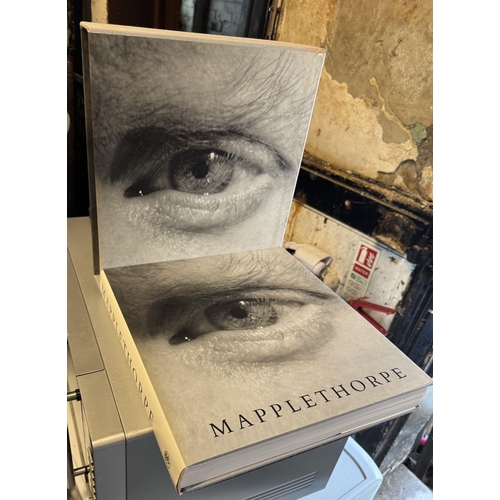 920 - Book-Maplethorpe