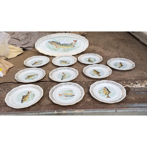 fish plates