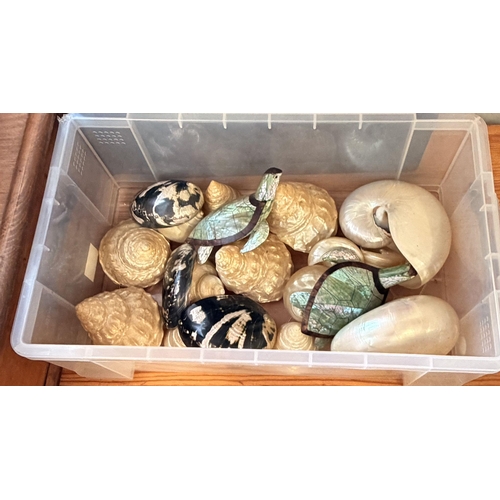 25 - Shells