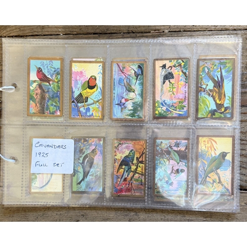 Lot 14        