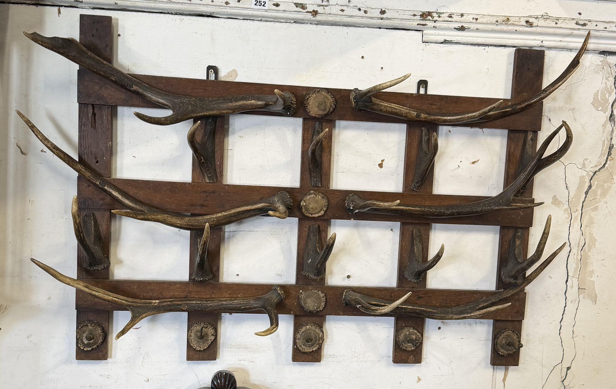 Victorian antler coat rack