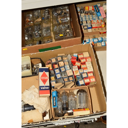 438 - THREE TRAYS OF VINTAGE VACUUM TUBES (THERMIONIC VALVES), some in original boxes and some loose from ... 