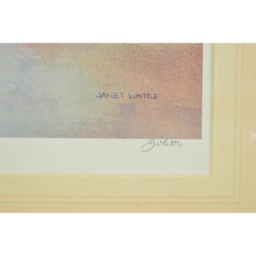 504 - JANET WHITTLE 'POPPIES', a limited edition print 79/300, signed in pencil, mounted, unframed, approx... 