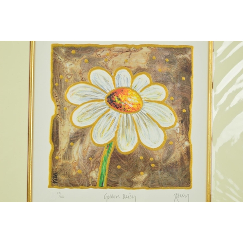 509 - KELLY JANE 'GOLDEN DAISY', a limited edition print 29/500, signed and titled in pencil, mounted, unf... 