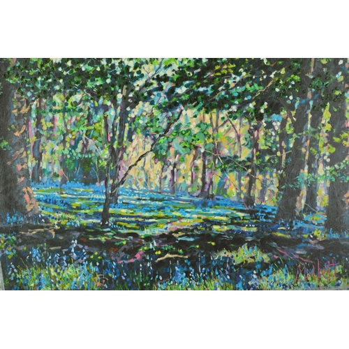 514 - TIMMY MALLETT 'BLUEBELL SHADOWS', a limited edition print on canvas signed verso, 68/195, hand embel... 