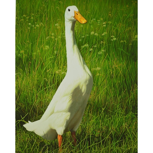 515 - PAUL JAMES 'DOTTY', a limited edition print of a goose, 40/95, signed and titled in pencil, with cer... 