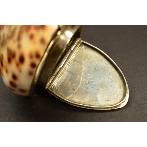 229 - AN EARLY 19TH CENTURY SCOTTISH PROVINCIAL SILVER MOUNTED COWRIE SHELL SNUFF BOX, plain, the hinged l... 