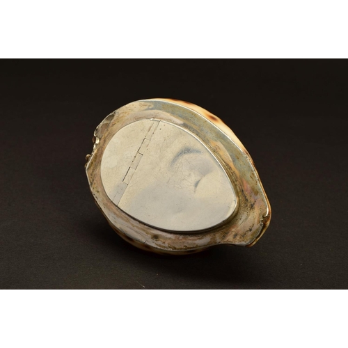 229 - AN EARLY 19TH CENTURY SCOTTISH PROVINCIAL SILVER MOUNTED COWRIE SHELL SNUFF BOX, plain, the hinged l... 