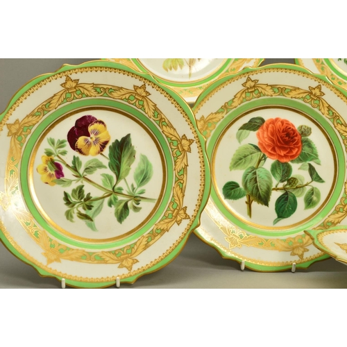 279 - A SAMUEL ALCOCK PORCELAIN PART DESSERT SERVICE, painted with named Botanical flowers within a green ... 