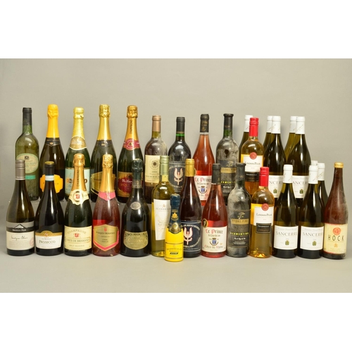 480 - THIRTY BOTTLES OF WHITE WINE, Champagne and Sparkling from Europe and the New World including nine b... 