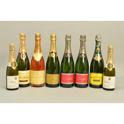 482 - SIX BOTTLES OF CHAMPAGNE, and two half-bottles of Champagne comprising two bottles of Nicholas Feuil... 