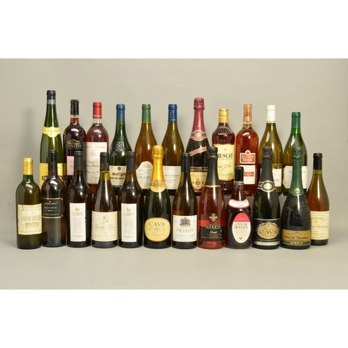 488 - TWENTY THREE BOTTLES OF WHITE/ROSE WINE AND CAVA, mainly from Europe including Chablis, Sancerre and... 