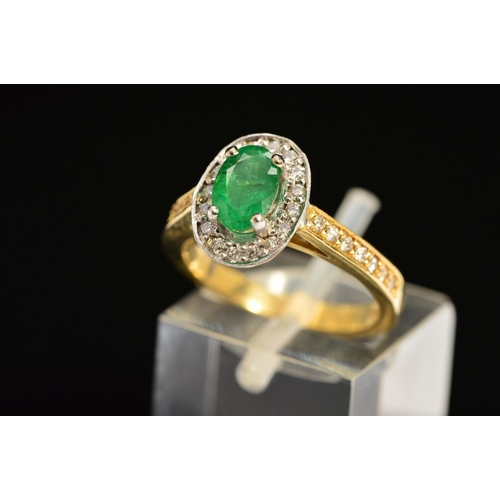 54 - A MODERN 18CT GOLD EMERALD AND DIAMOND HALO CLUSTER STYLE RING, with diamond set shoulders, emerald ... 