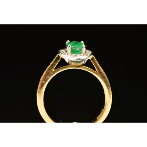 54 - A MODERN 18CT GOLD EMERALD AND DIAMOND HALO CLUSTER STYLE RING, with diamond set shoulders, emerald ... 