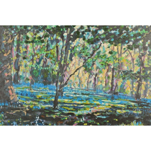 574 - TIMMY MALLETT (BRITISH CONTEMPORARY) 'BLUEBELL SHADOWS' an artist proof print of a bluebell wood 15/... 