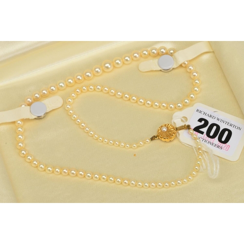 Lot 200       