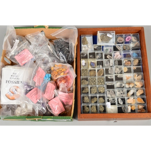 Lot 271       