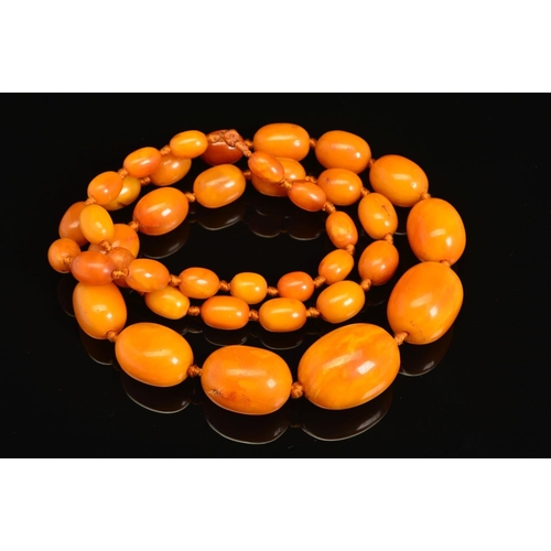 11 - A NATURAL AMBER NECKLACE, designed as thirty-nine graduated beads measuring approximately 13mm to 31... 