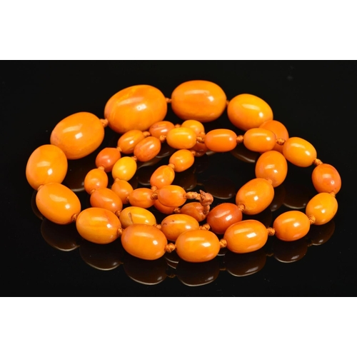 11 - A NATURAL AMBER NECKLACE, designed as thirty-nine graduated beads measuring approximately 13mm to 31... 