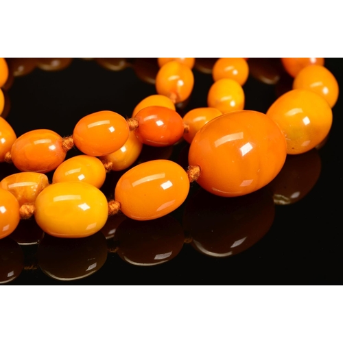 7 - A NATURAL AMBER NECKLACE, designed as fifty-five graduated beads measuring approximately 13mm to 27m... 