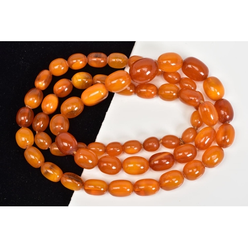 33 - A NATURAL AMBER BEAD NECKLACE, fifty fine oval beads graduating in size from 9mm x 5.5mm to 16mm x 1... 