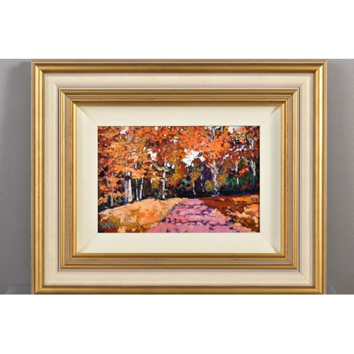 406 - TIMMY MALLETT (BRITISH CONTEMPORARY) 'AUTUMNAL COLOUR', an autumnal landscape of trees, signed botto... 