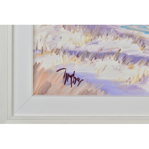 420 - TOM BARRON (BRITISH CONTEMPORARY) 'ARISAIG SANDS' a coastal landscape, signed bottom left, acrylic o... 