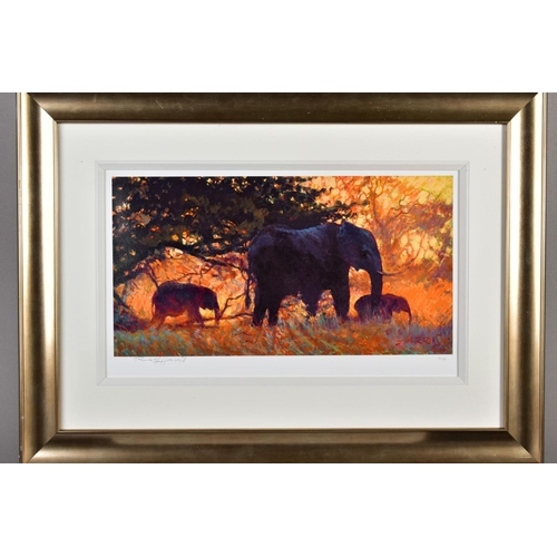 421 - ROLF HARRIS (AUSTRALIAN 1931) 'BACKLIT GOLD' a limited edition print of elephants 131/195, signed to... 