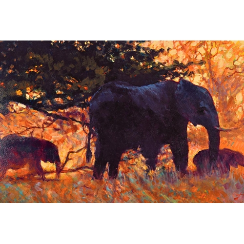 421 - ROLF HARRIS (AUSTRALIAN 1931) 'BACKLIT GOLD' a limited edition print of elephants 131/195, signed to... 