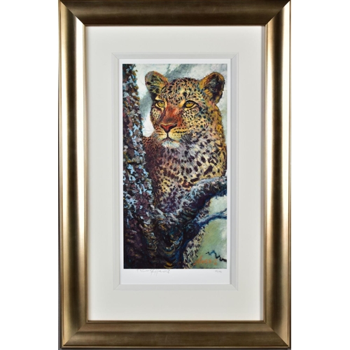 428 - ROLF HARRIS (AUSTRALIAN 1931) 'ALERT FOR PRAY II', a limited edition print of a leopard 195/195, sig... 