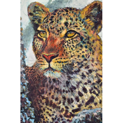 428 - ROLF HARRIS (AUSTRALIAN 1931) 'ALERT FOR PRAY II', a limited edition print of a leopard 195/195, sig... 