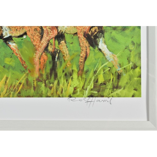 434 - ROLF HARRIS (AUSTRALIAN 1931) 'FOUR GIRAFFES', a limited edition print 84/195, signed to lower margi... 