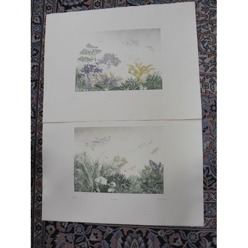 573 - PICTURES AND PRINTS, to include two Anna Pugh (British 1938), Aquatint etchings, 'Bonsai Beach' and ... 