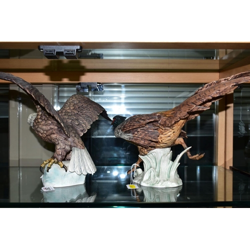 262 - TWO GOEBEL BIRDS, a 'White Headed Eagle', CV104, height 26cm x length 51cm and a Pheasant CV98, heig... 