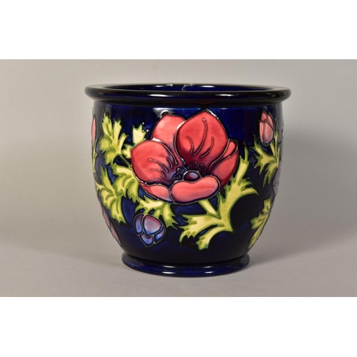 338 - A MOORCROFT POTTERY FOOTED JARDINIERE, Anemone pattern on blue ground, impressed and painted marks t... 