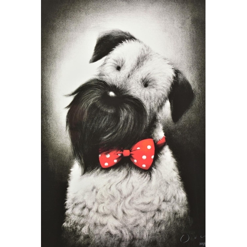 404 - DOUG HYDE (BRITISH 1972), 'Big Spender', a Limited Edition print of a dog wearing a bowtie, 300/395,... 