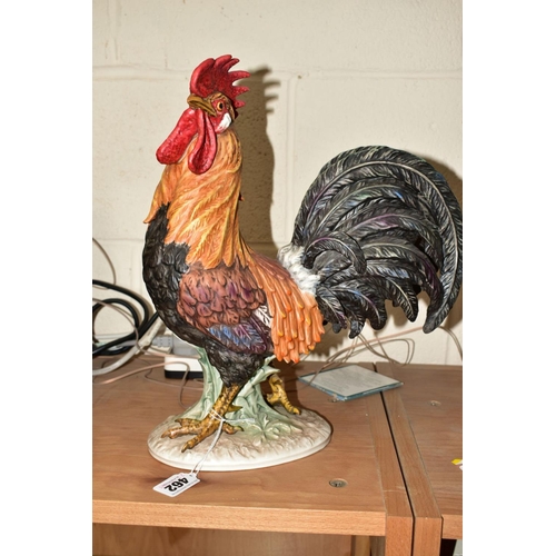 462 - A GOEBEL ROOSTER, impressed 1969 and CV105 to base, height 35cm