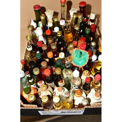 328 - A COLLECTION OF APPROXIMATELY TWO HUNDRED AND THIRTY FIVE MINIATURE BOTTLES OF WHISKY, COGNAC, PORT,... 