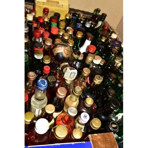 328 - A COLLECTION OF APPROXIMATELY TWO HUNDRED AND THIRTY FIVE MINIATURE BOTTLES OF WHISKY, COGNAC, PORT,... 