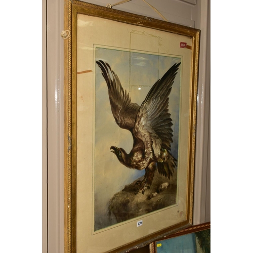 339 - WILLIAM HEATH (BRITISH 19TH CENTURY), study of an eagle with wings raised whilst perched on an outcr... 