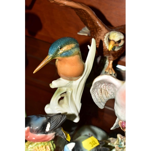 344 - SEVEN BESWICK BIRDS AND A CONTINENTAL PORCELAIN KINGFISHER, the Beswick birds comprising Green Woodp... 