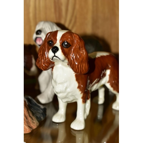 391 - FOUR BESWICK DOGS, 'Yorkshire Terrier' No1944, 'King Charles Spaniel', 'Blenheim' No 2107A, gloss, '... 