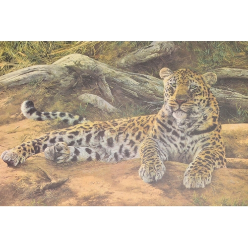 505 - ANTHONY GIBBS (BRITISH 1951), 'Dawns First Scent', a limited edition print of Leopard, 376/111, sign... 