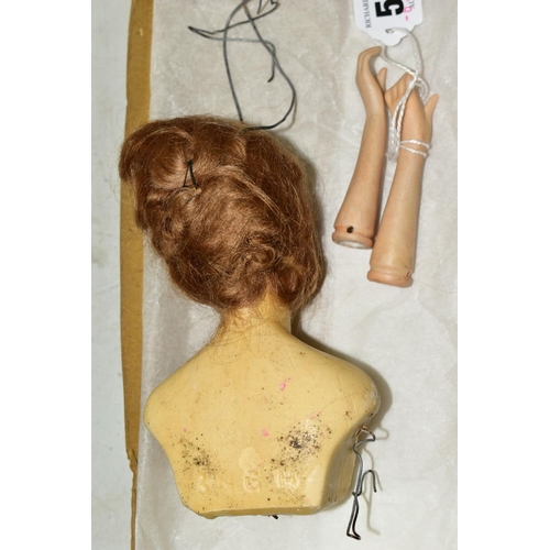 518 - A WAX HEAD AND SHOULDERS HALF DOLL, marked 3.N.G.H to back, possibly Olga Baitz, painted features, o... 