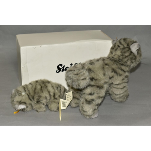 523 - A BOXED STEIFF 'MIZZY' CAT AND KITTEN, No.076422, grey plush with lighter grey paws, muzzle and ears... 