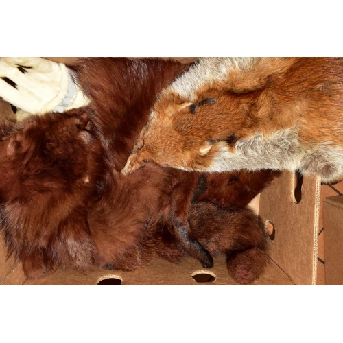 553 - TWO BOXES OF VINTAGE FOX FUR STOLES AND VINTAGE LADIES HATS, including an Ermine scarf, hats include... 