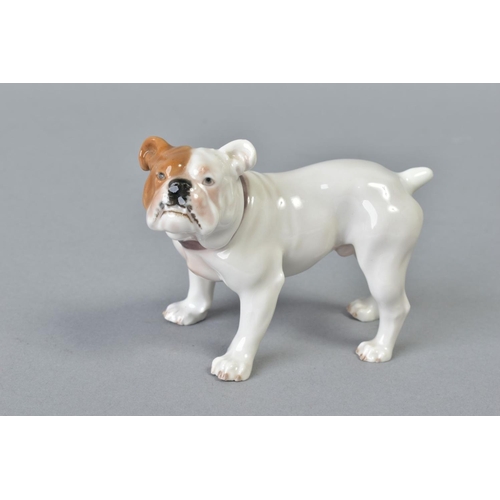 141 - AN EARLY 20TH CENTURY MEISSEN FIGURE OF A BULLDOG, model No 128, modelled by Eric Hoesel, blue cross... 