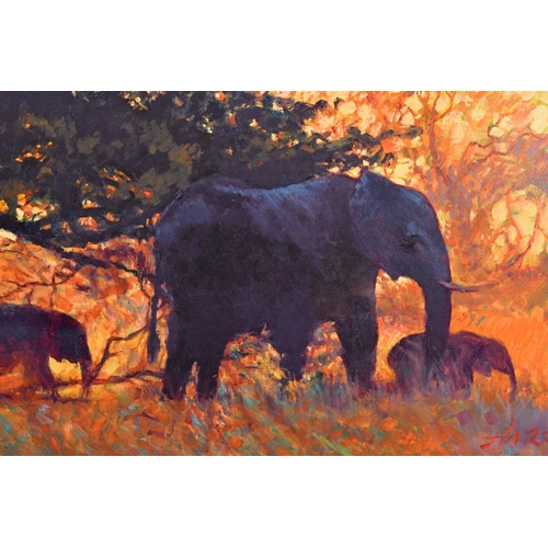 309 - ROLF HARRIS (AUSTRALIAN 1930) 'BACKLIT GOLD' a limited edition print of Elephants 58/195, signed to ... 