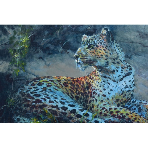 312 - ROLF HARRIS (AUSTRALIAN 1930) 'LEOPARD RECLINING AT DUSK' a limited edition print 46/195, signed to ... 